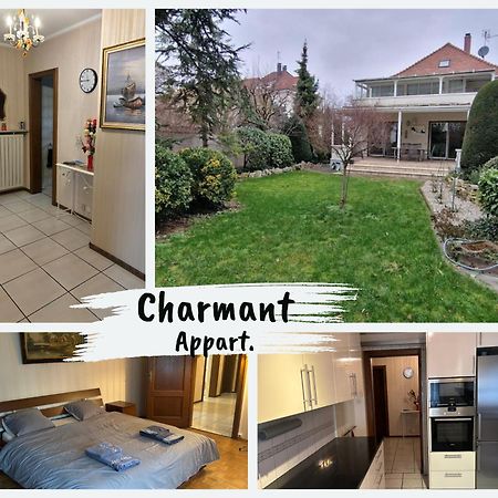 Charmant Appart. Dans Une Villa Saint-Louis (Haut-Rhin) Exterior foto